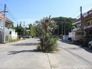 Moo Baan Srianan Town House