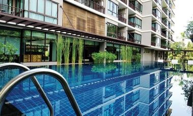 Mountain Front Condo Chiang Mai