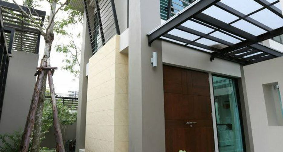 Willow 49