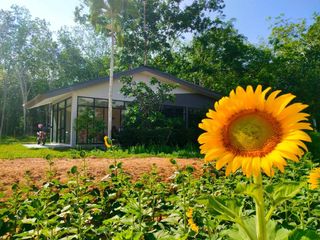 Sinsia House