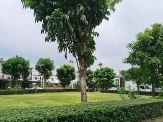เมท ทาวน์ ปทุม-ติวานนท์
