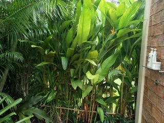Bamboo Gardens Hua Hin