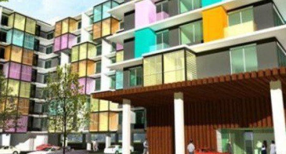 The Colory Vivid