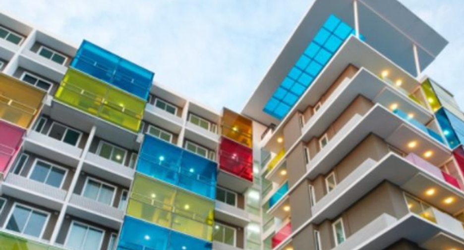 The Colory Vivid