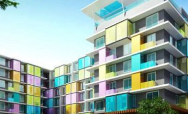 The Colory Vivid