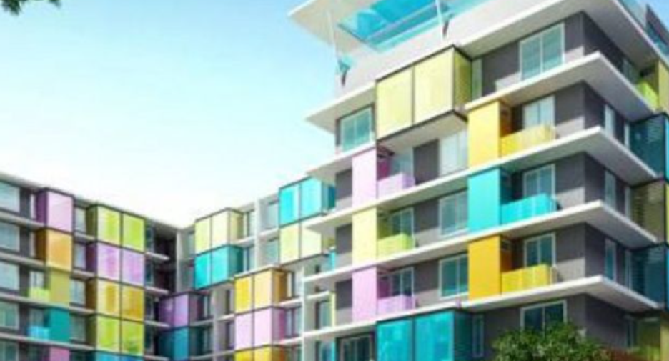 The Colory Vivid