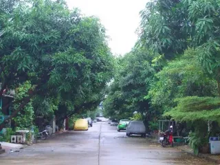 Baan Aroonwan 1