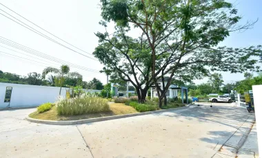 Canary Ville Nong Phai
