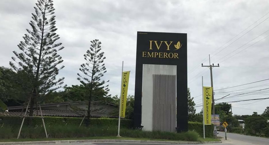 Ivy Emperor