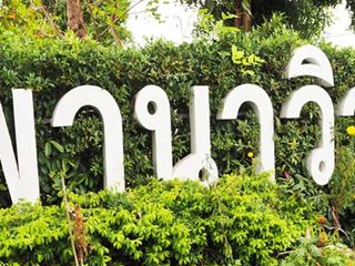 พานาวิว 3