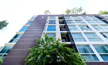 Tree Condo LUXE Sukhumvit 52