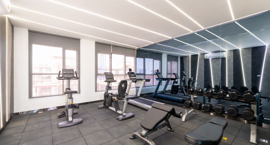 BRIXTON Pet and Play Sukhumvit 107