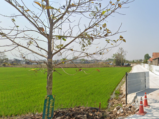 SAWARA Ban Tha Rua