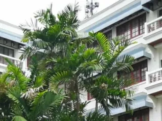 Piya Place Tonson
