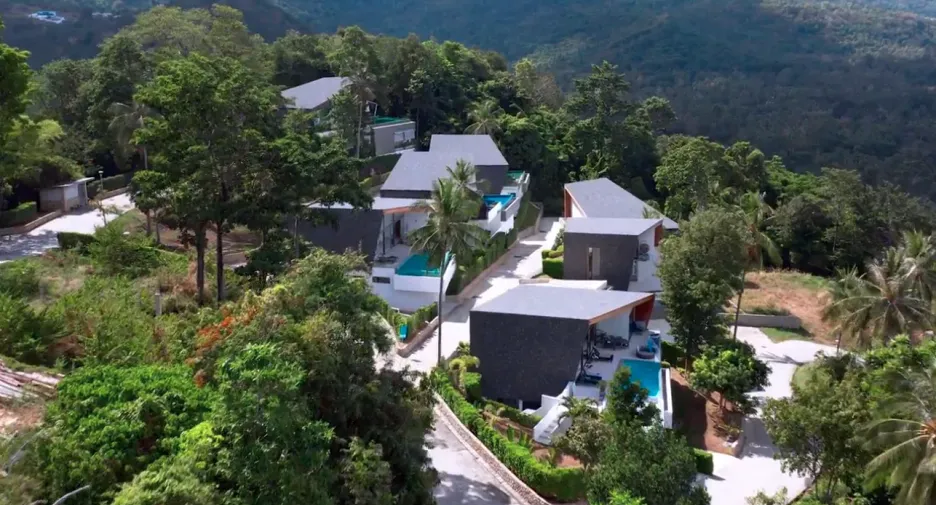 Asher Samui