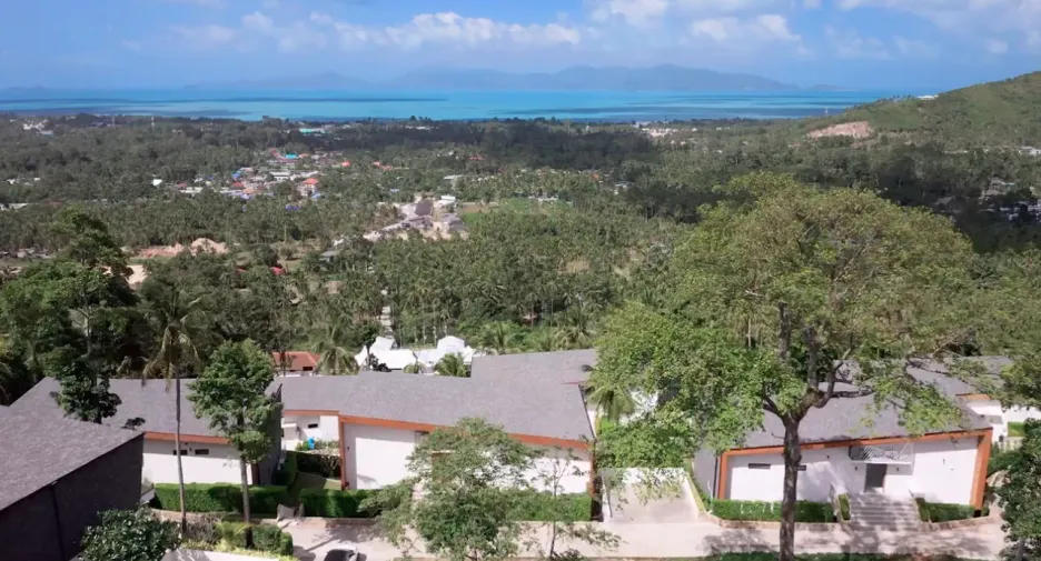 Asher Samui