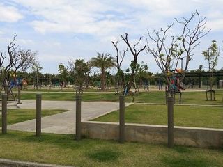 iLive Park Rama 2 km 14