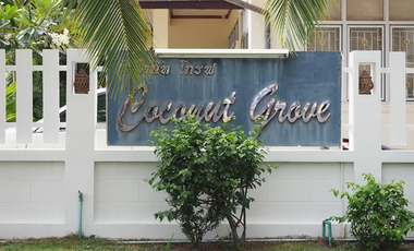 Coconut Grove