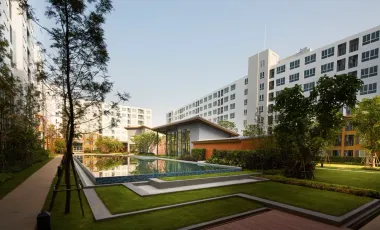 D Condo Nim