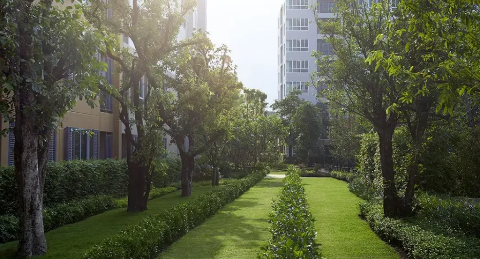 For rent 1 bed condo in Mueang Chiang Mai, Chiang Mai