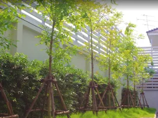 UTD Apartments Sukhumvit Hotel & Residence