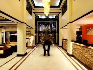 Allamanda Laguna