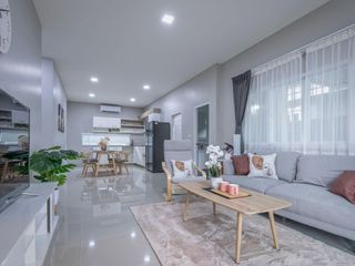 The Mellow House