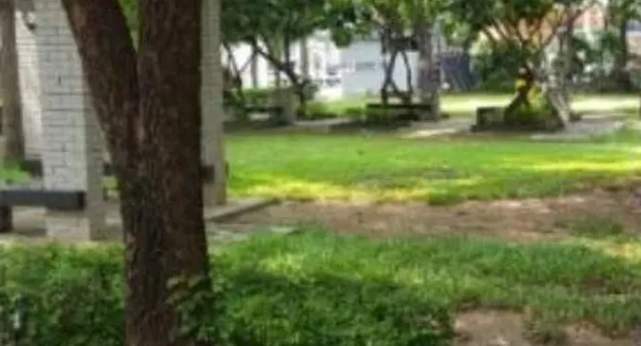 Park In Town