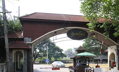 Koolpunt Ville 6