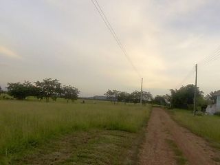 The Nature Phetchabun