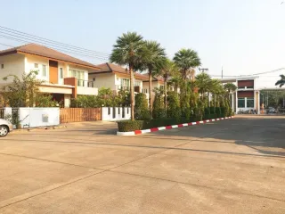 เดอะ เซลิโอ