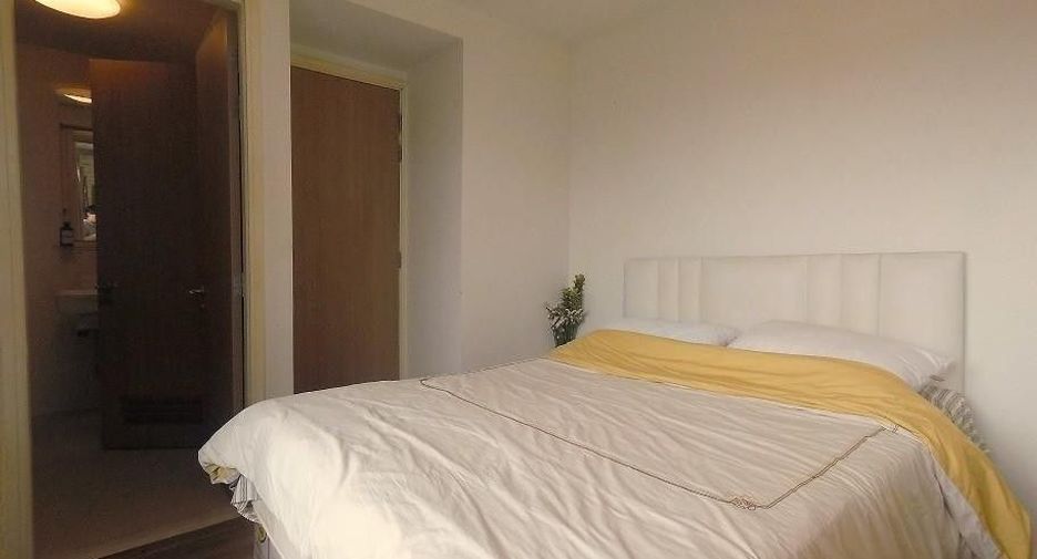 Haven Condominium