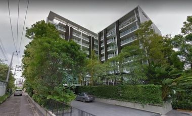 Haven Condominium