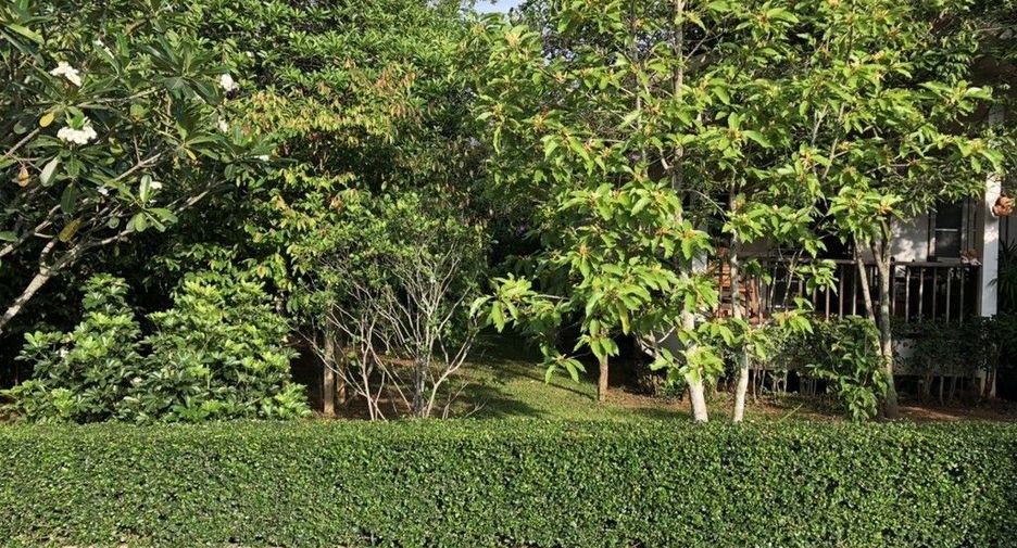 หมู่บ้านชมวิวเขาใหญ่