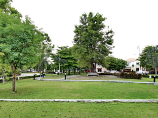 兰西奥 瓦查拉蓬 - 唐端