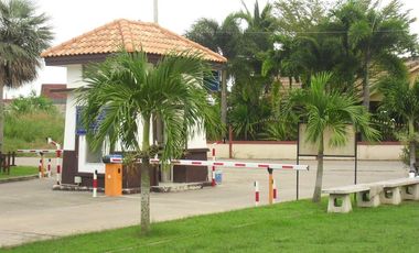 Tropical Village