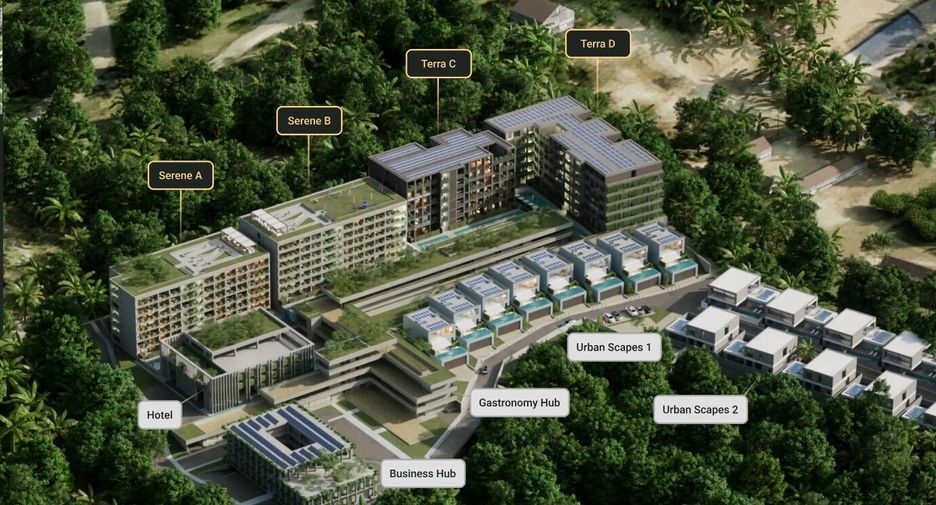 Serene Condo Layan