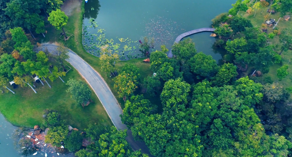 Swan Lake Khao Yai