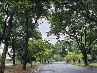 Manthana Thonburirom