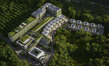 The Momentum Phuket