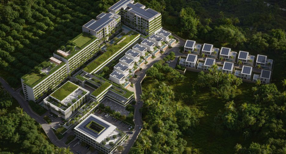 The Momentum Phuket