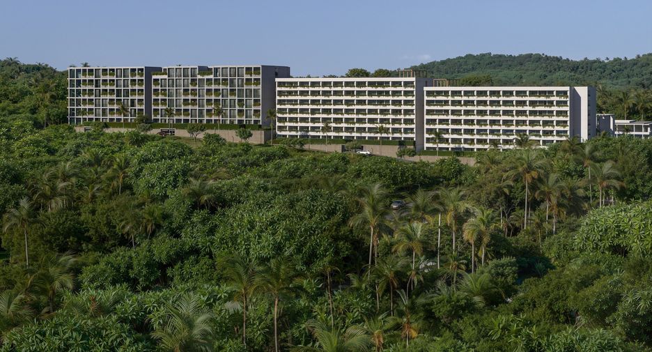 The Momentum Phuket