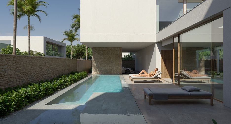 The Momentum Phuket