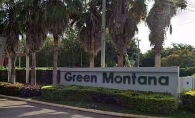 Green Montana