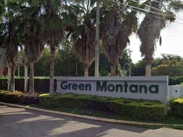 Green Montana