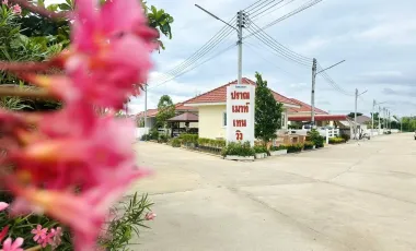 Pran Mountain View