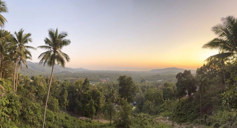 Casa Verde: House of Wellness
