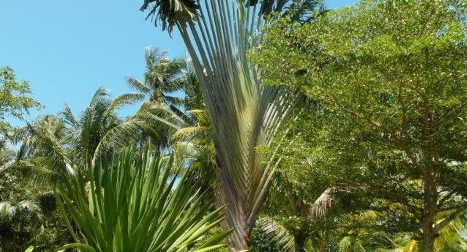 Phanasophon Parkville 1 (Kathu)