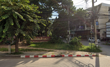Chiang Mai Land
