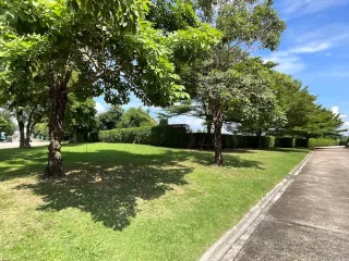 Casa Grand Sriracha - Suansua